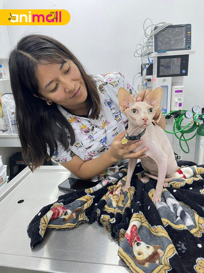 Cuidando la Salud Integral de tu Mascota: Productos Clave para el Bienestar Veterinario