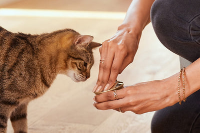 Un Snack Nutritivo Recomendado por Veterinarios