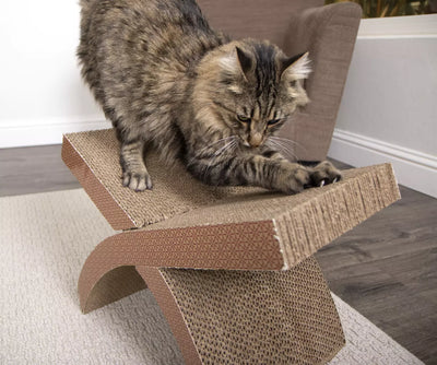 ¿Por qué los rascadores para gatos son esenciales para su bienestar?