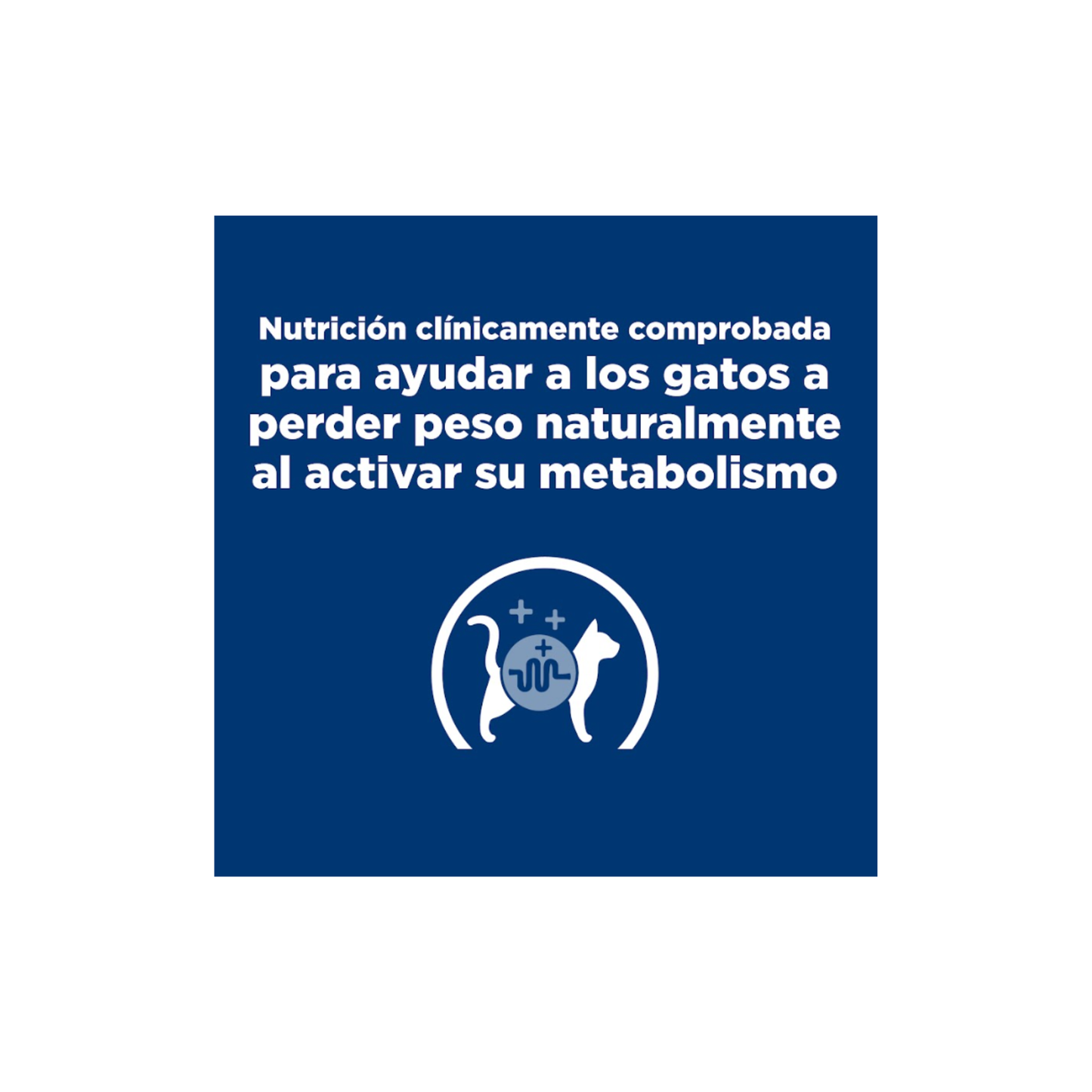 24 Latas Hills Gato Metabolic Prescription Diet Vegetables and Chicken Stew Cat Food 82 g