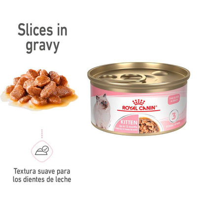 24 Latas Royal Canin Kitten Thin Slices in Gravy 85 gr - AniMALL