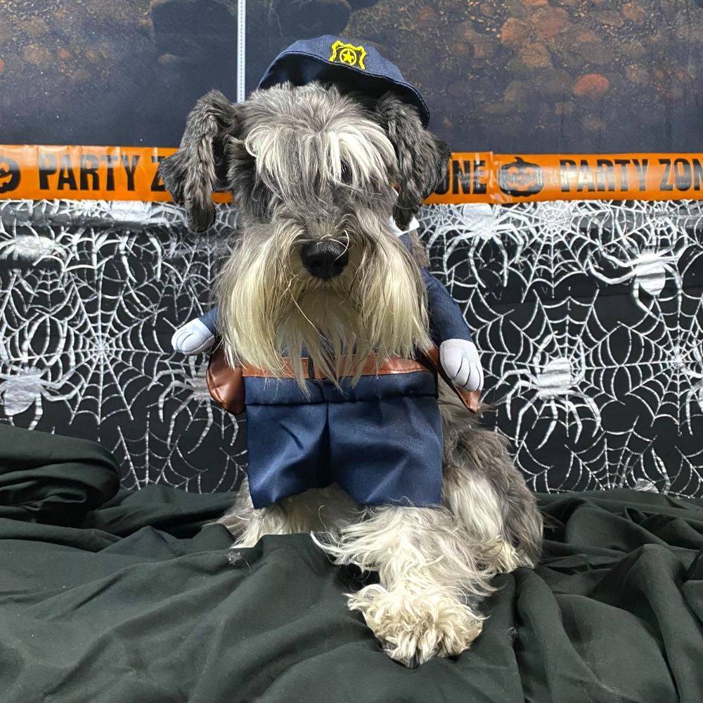 Disfraz Policía Halloween Talla M - AniMALL