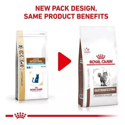royal canin gastrointestinal gatos