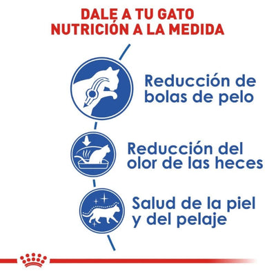 Royal Canin Alimento para Gato Adulto Indoor 3.1 kg - AniMALL
