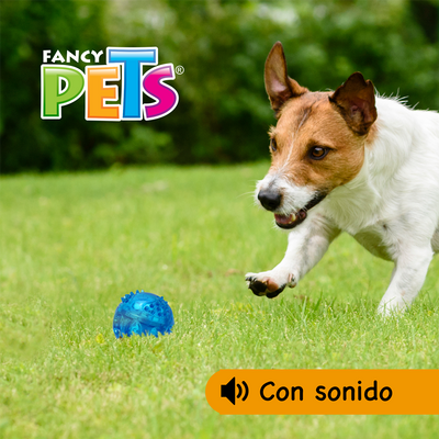 Pelota Flexible con Sonido Grande, Fancy Pets