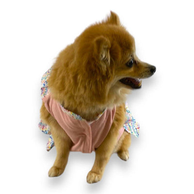 Vestido Macarena Arcoíris Talla 1 - AniMALL
