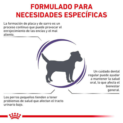 Royal Canin Vet Dental Dry Small Dog 4 kg - AniMALL