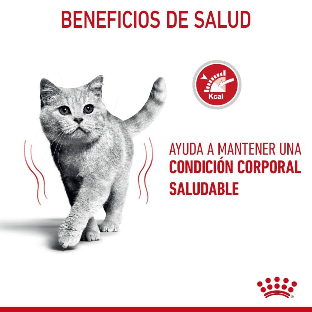 Lata Royal Canin Gato Weight Care Thin Slices in Gravy 85 gr - AniMALL