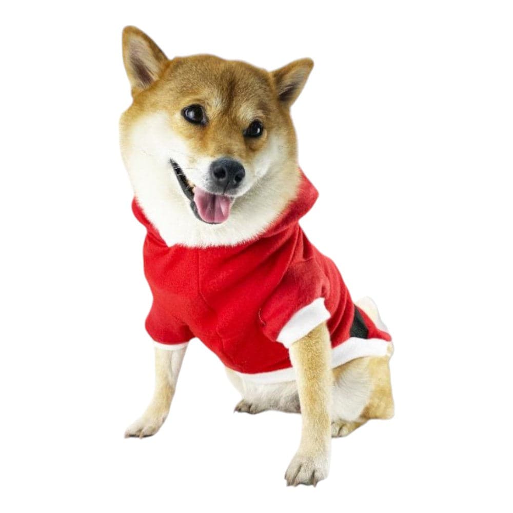 Disfraz Navidad Santa Claus Talla S - AniMALL