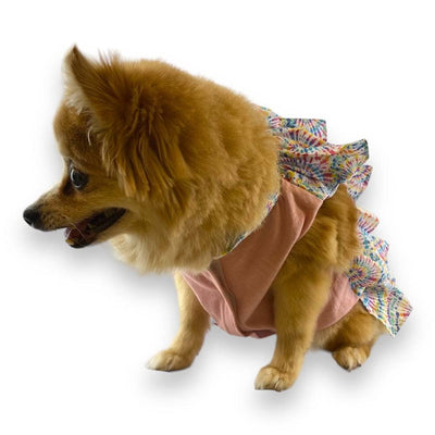 Vestido Macarena Arcoíris Talla 4 - AniMALL