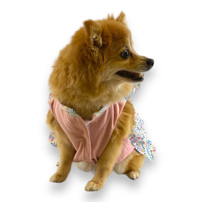 Vestido Macarena Arcoíris Talla 2 - AniMALL