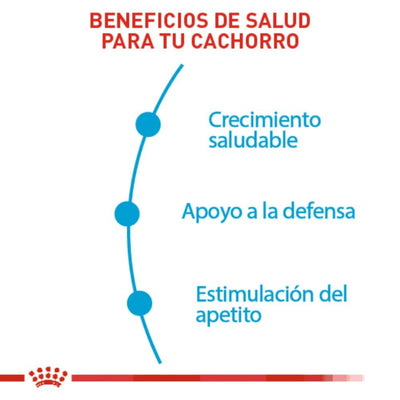 24 Latas Royal Canin wet Puppy Loaf in Sauce 150 gr - AniMALL