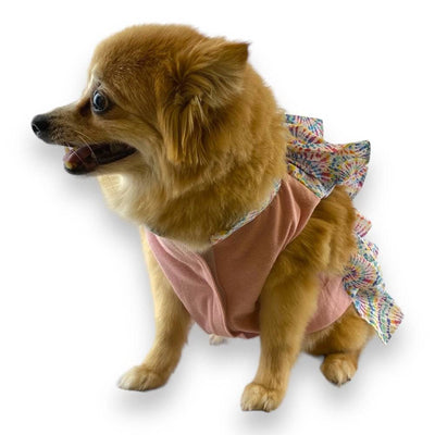 Vestido Macarena Arcoíris Talla 5 - AniMALL
