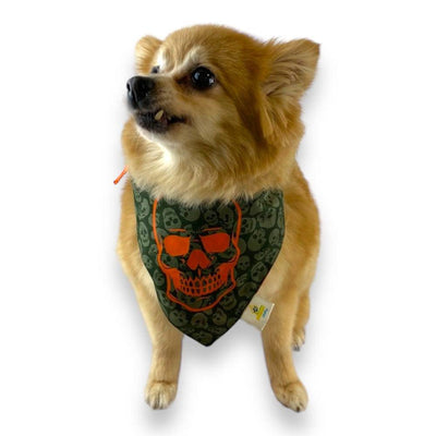 Bandana Calavera Talla XL - AniMALL