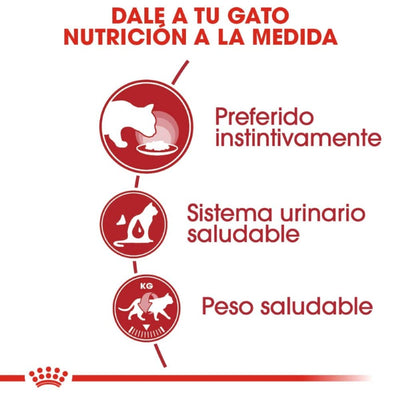24 Latas Royal Canin Adult Instinctive Gato Slices in Gravy 85 gr - AniMALL