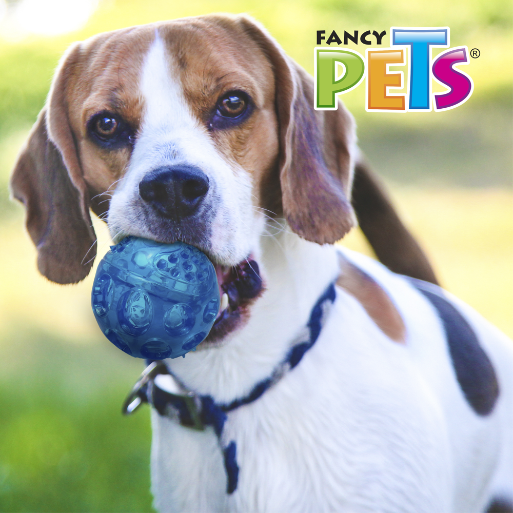 Pelota Flexible con Sonido Grande, Fancy Pets