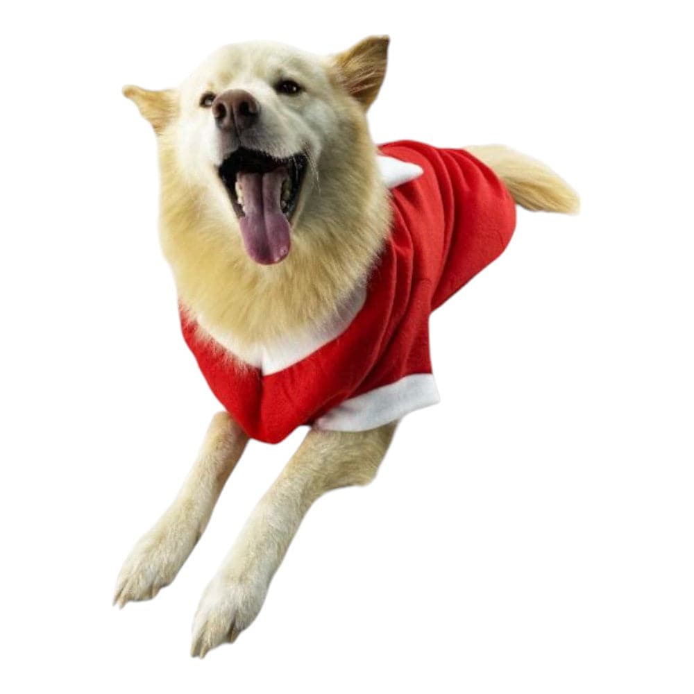 Disfraz Navidad Señora Claus Talla S - AniMALL