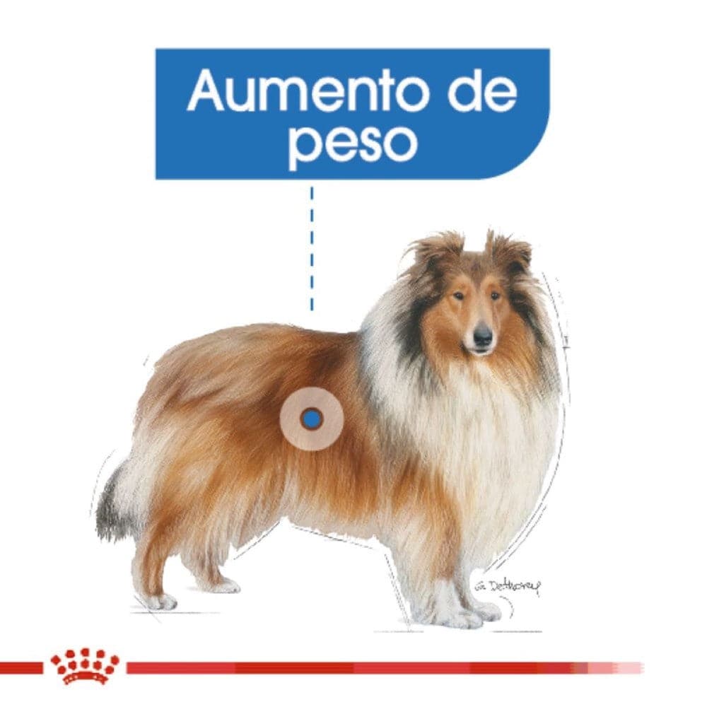 Royal Canin Perro Weight Care 13.61 kg - AniMALL