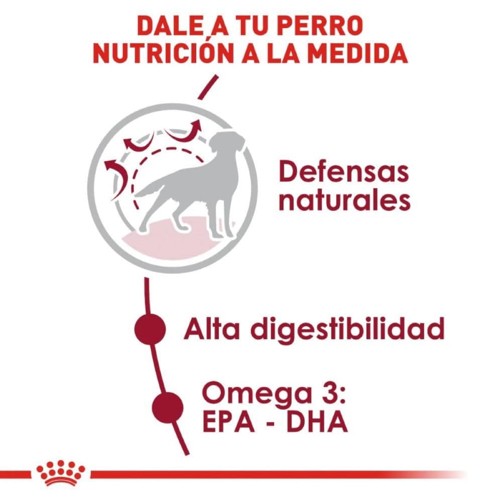 Royal Canin Medium Adult 7.5 kg - AniMALL