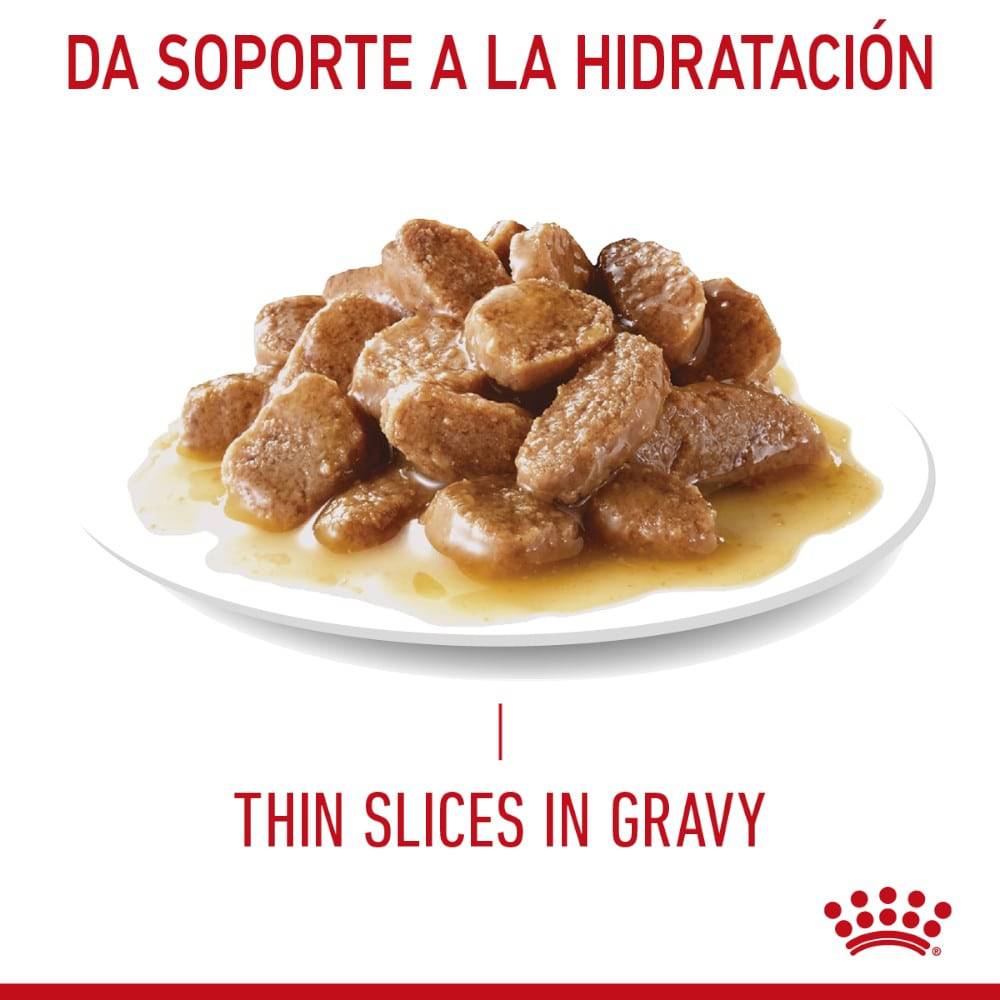 Lata Royal Canin Gato Weight Care Thin Slices in Gravy 85 gr - AniMALL