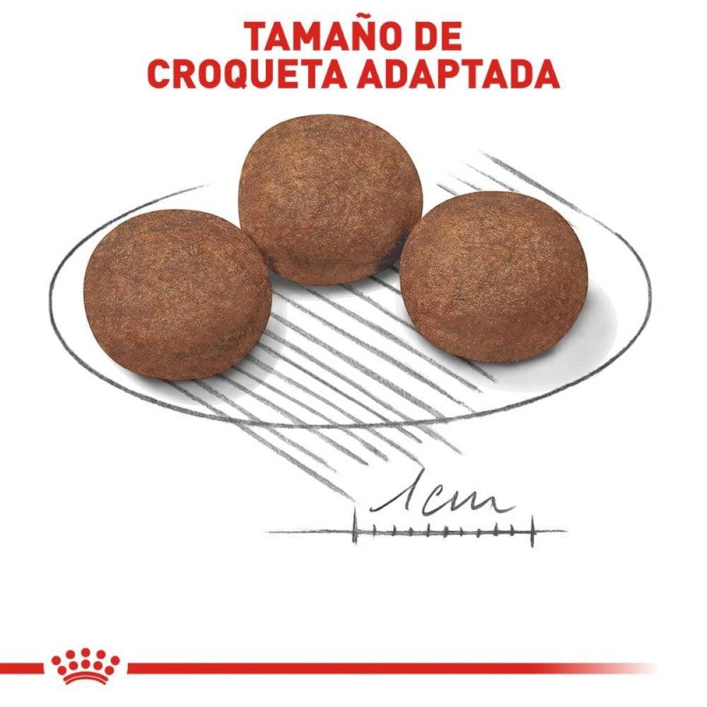 Royal Canin Alimento Medium Puppy 13.6 kg - AniMALL