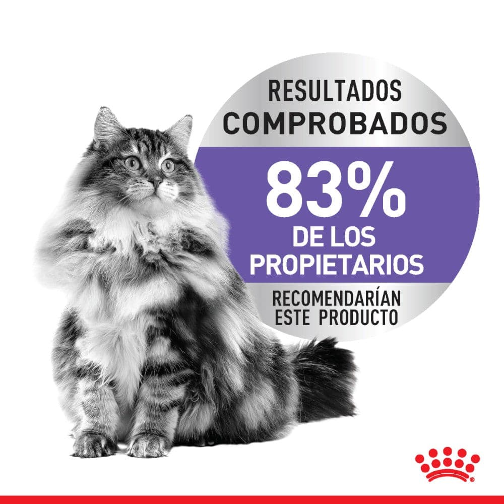 Royal Canin Alimento Gato Adulto Appetite Control 2.7 Kg - AniMALL