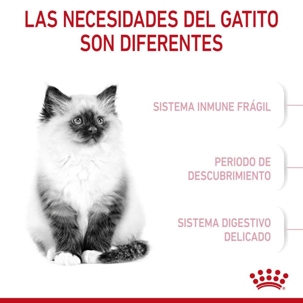 Royal Canin Gato Kitten 341 gr - AniMALL