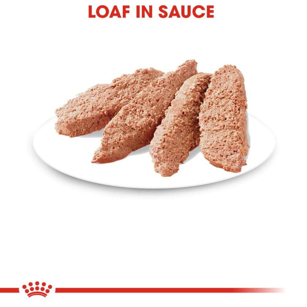 24 Latas Royal Canin Adult Instinctive Gato Loaf in Sauce 145 gr - AniMALL