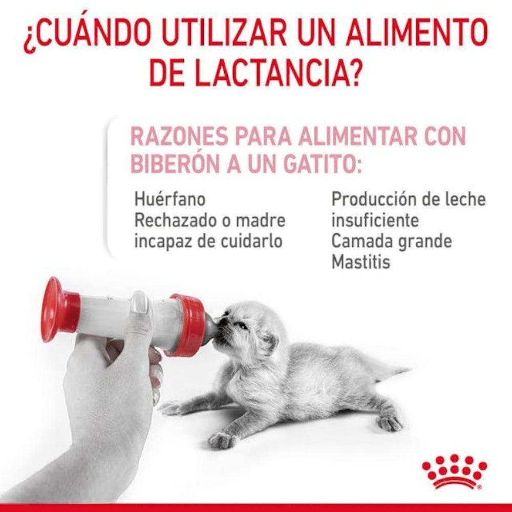 Royal Canin Baby Cat Milk 300 gr - AniMALL