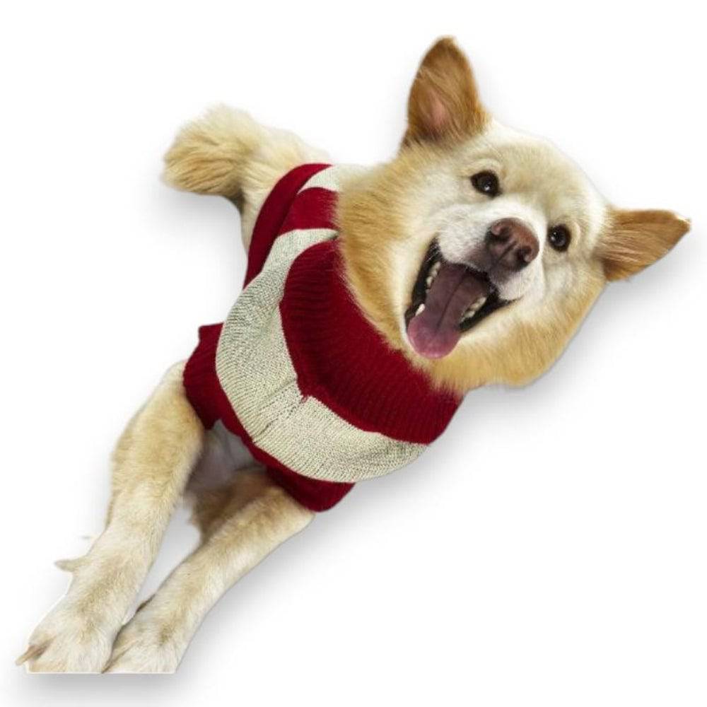 Suéter de Reno Rojo Talla 10 - AniMALL