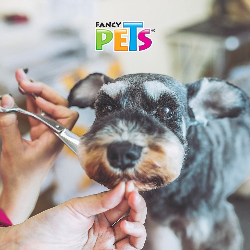 Fancy Pets Tijera Recta Grooming para Perros de Pelo Medio a Largo