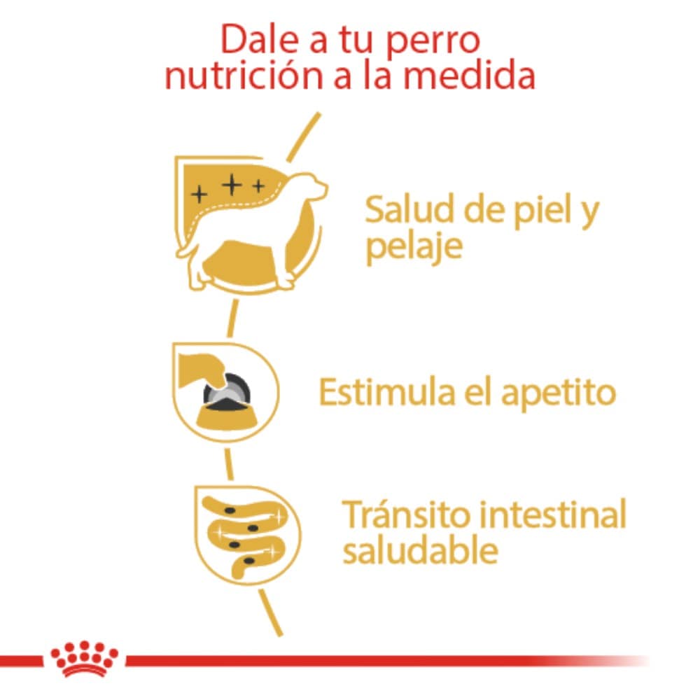 24 Latas Royal Canin Yorkshire Adult Loaf in Sauce 85 gr - AniMALL