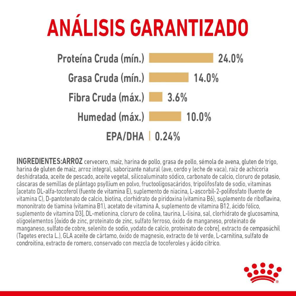 Royal Canin Adulto Pomeranian 4.5 kg - AniMALL
