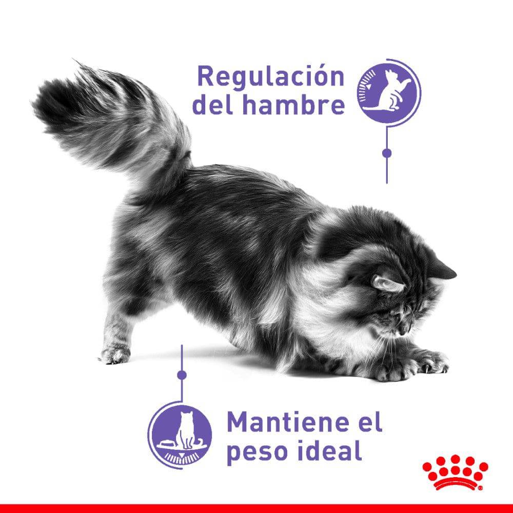 Royal Canin Alimento Gato Adulto Appetite Control 2.7 Kg - AniMALL