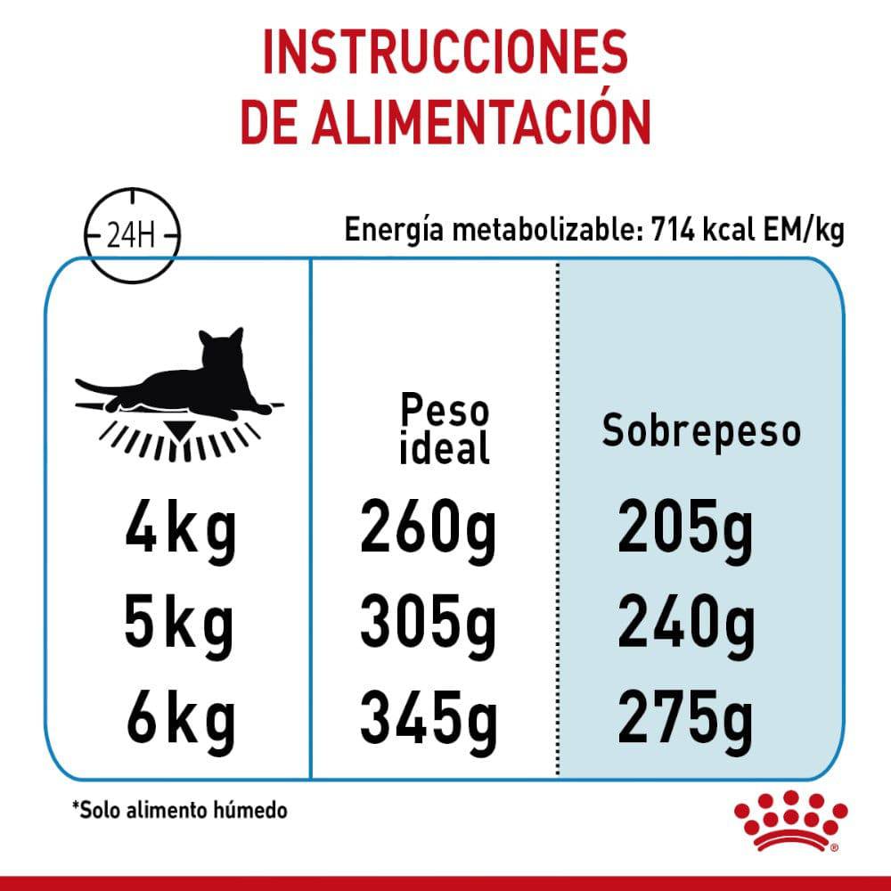 24 Latas Royal Canin Gato Urinary Care 145 gr - AniMALL