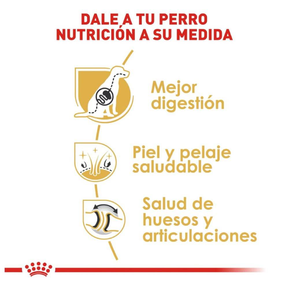Royal Canin Adulto Pastor Alemán 13.6 kg - AniMALL