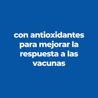 24 Hill's Science Diet Kitten, alimento saludable húmedo en pouch para gatito, platillo de pollo 79g - AniMALL