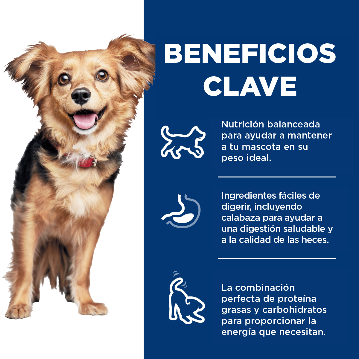 Hill's Science Diet Perfect Digestion Small and Mini, Cuidado digestivo para perros adultos pequeños y mini, 5.4 kg (