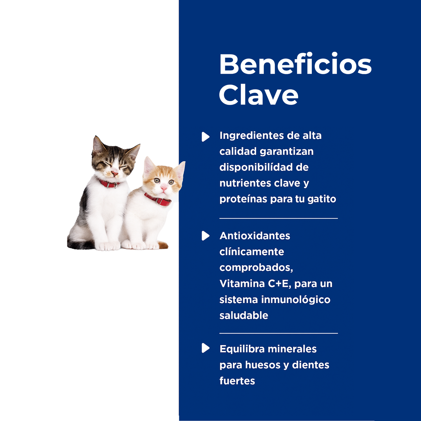 24 Latas Hill's Science Diet Kitten Savory Turkey Entrée. Alimento húmedo para gatitos sabor pavo 156 g