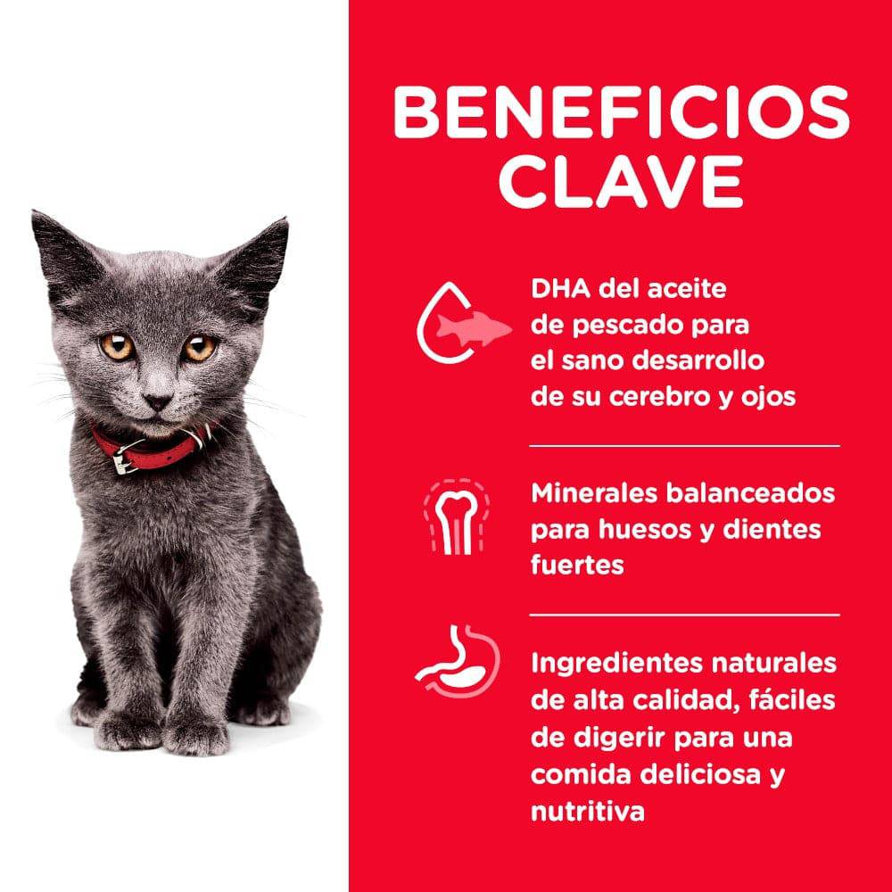 Hill's Science Diet Kitten Indoor, alimento saludable para gatito de interior sabor pollo 1.6Kg - AniMALL