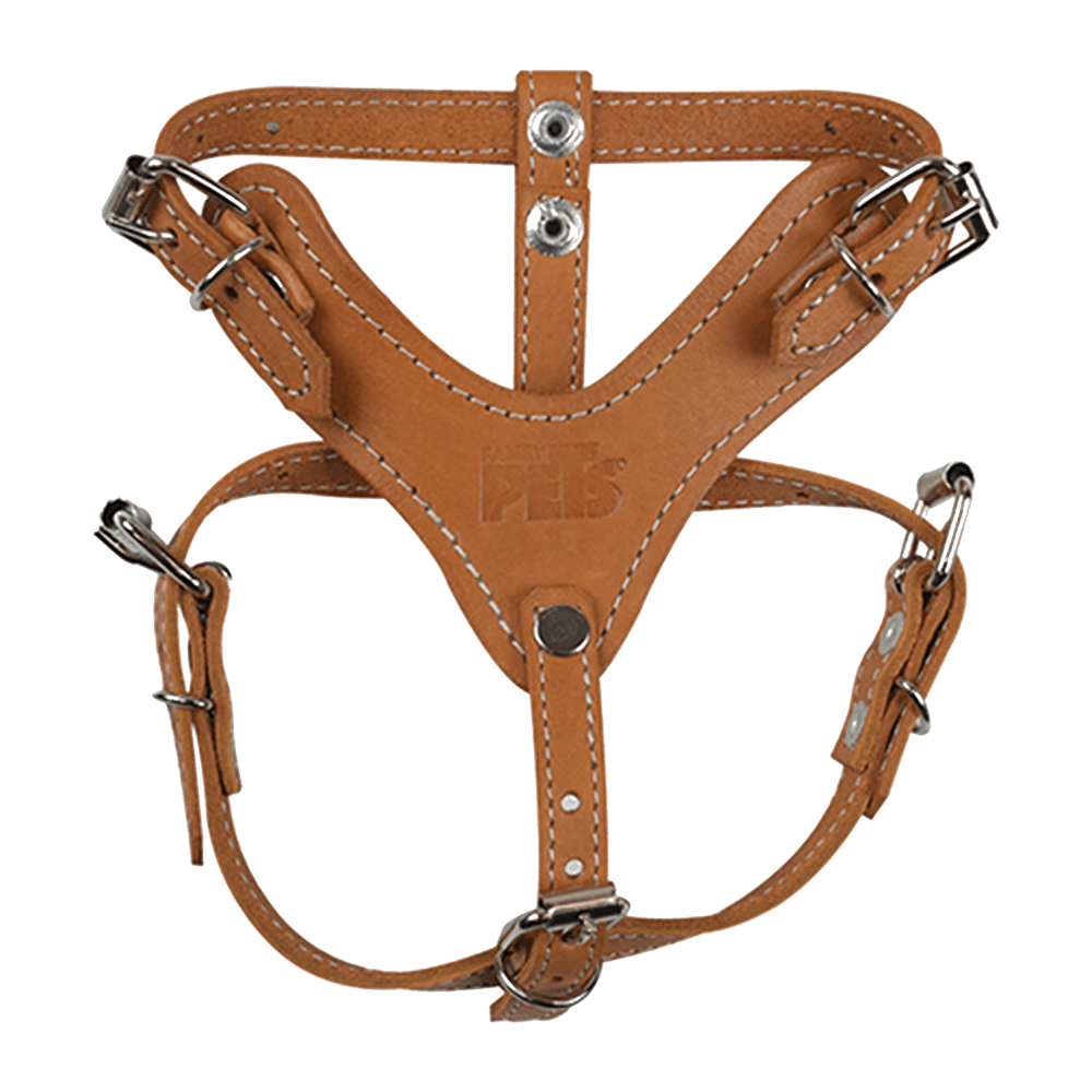 Pechera de Piel Color Cafe Xtreme Talla 1, Fancy Pets - AniMALL