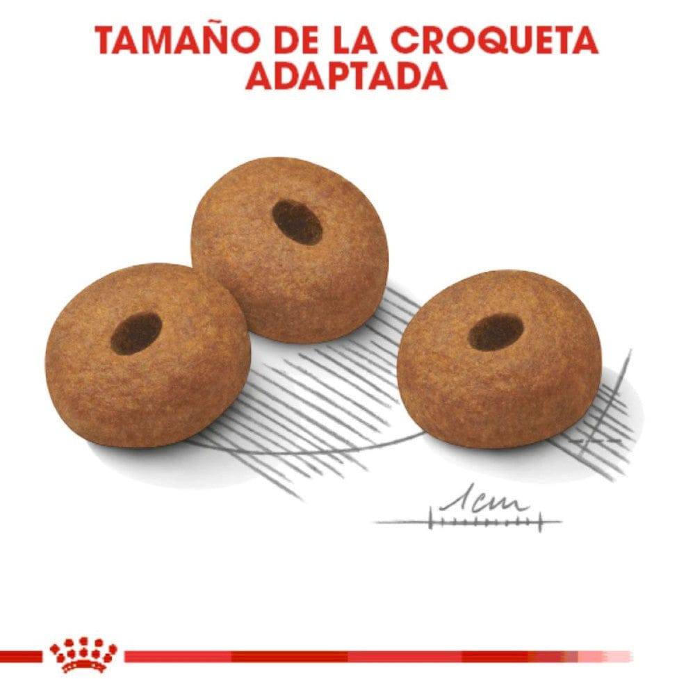 Royal Canin Perro Weight Care 13.61 kg - AniMALL