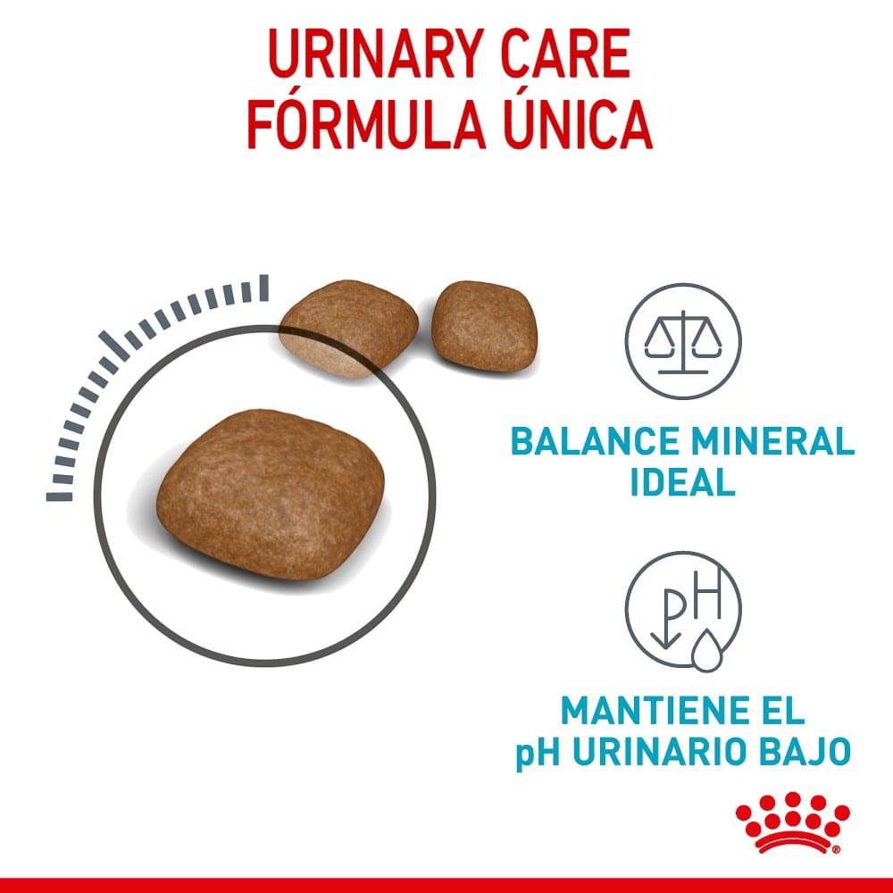 Royal Canin Gato Adulto Urinary Care 2.7 kg - AniMALL