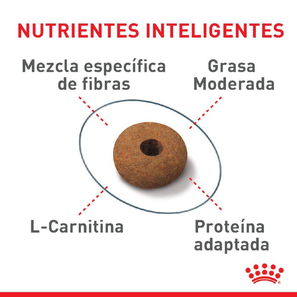 Royal Canin Alimento Gato Adulto Appetite Control 2.7 Kg - AniMALL