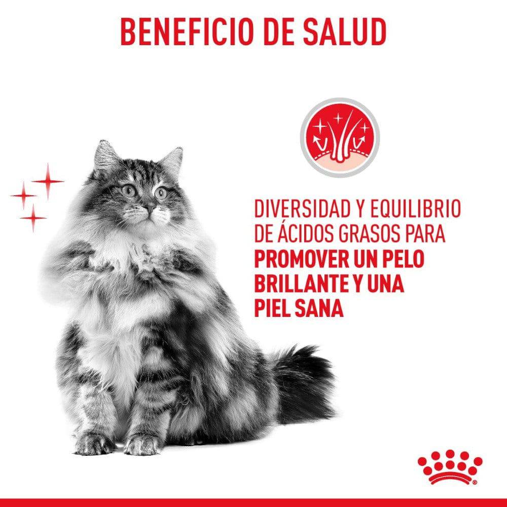Lata Royal Canin Gato Hair and Skin 145 gr - AniMALL
