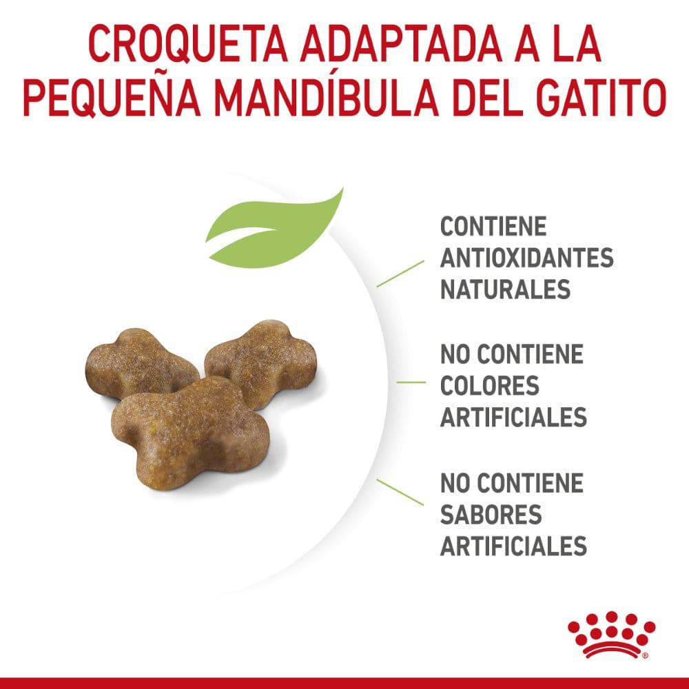 Royal Canin Gato Kitten 341 gr - AniMALL