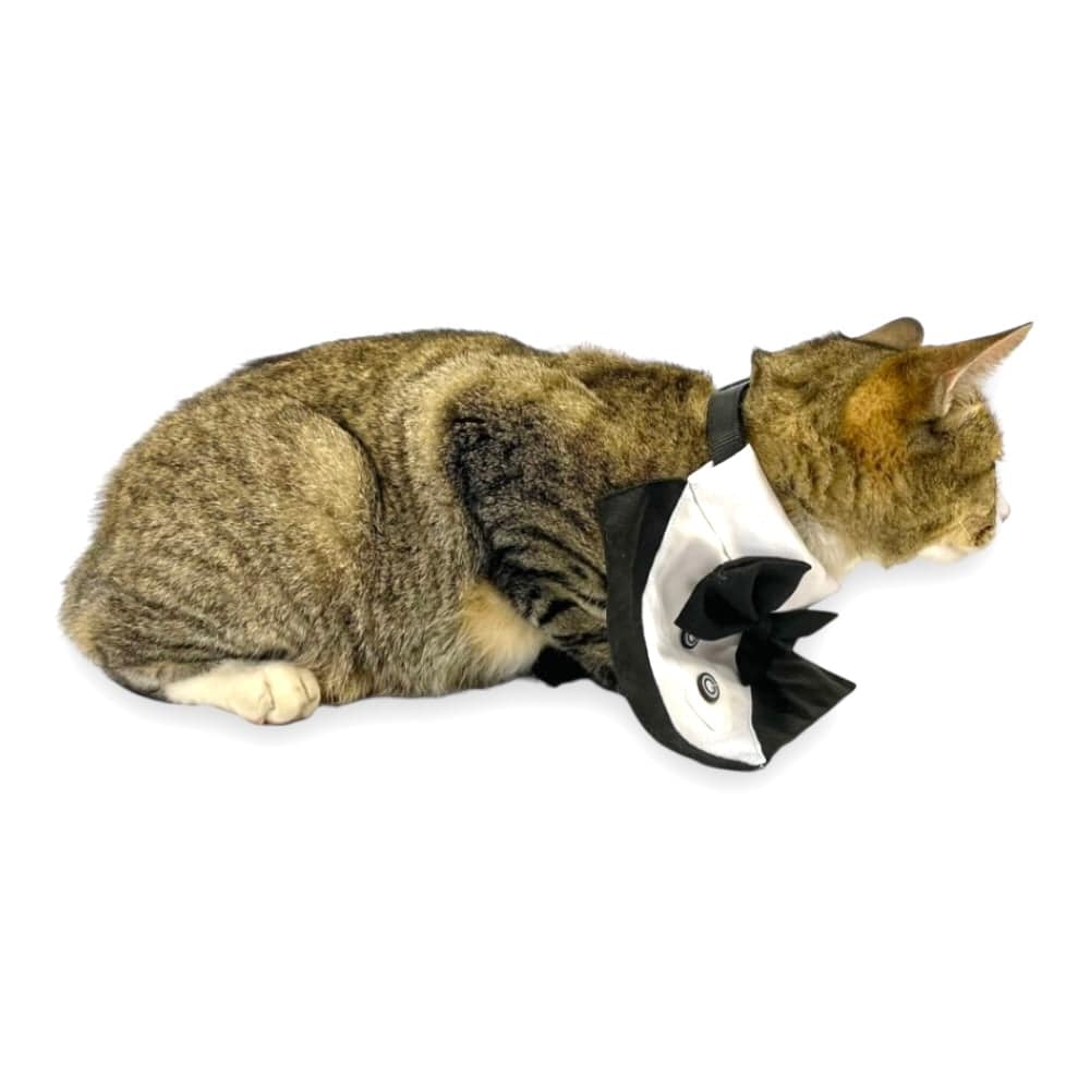 Bandana Smoking Talla M - AniMALL