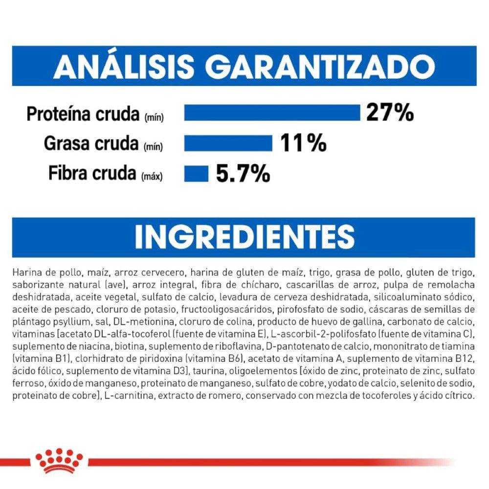 Royal Canin Alimento para Gato Adulto Indoor 3.1 kg - AniMALL