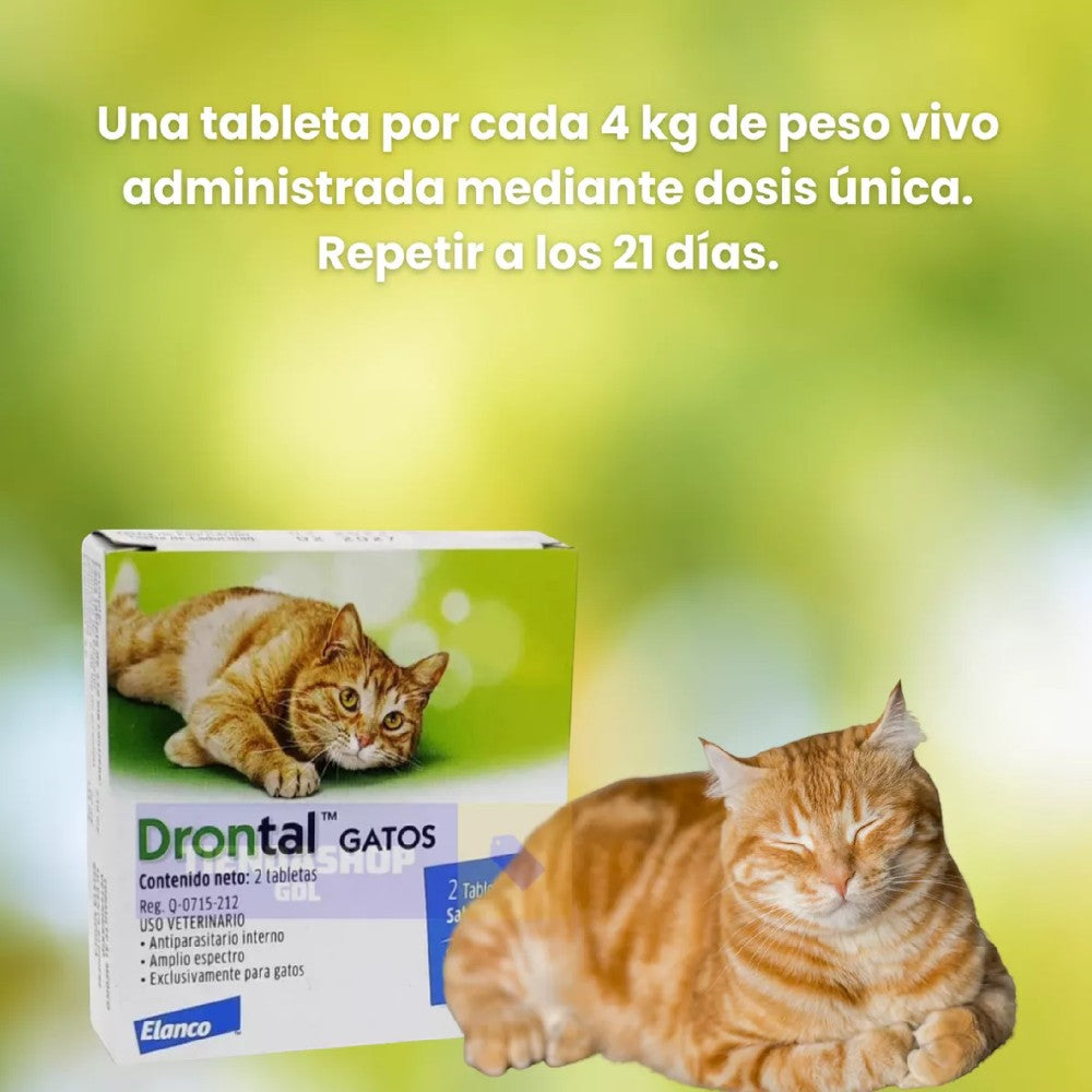 Drontal Gatos con 2 Tabletas Saborizadas - Desparasitante