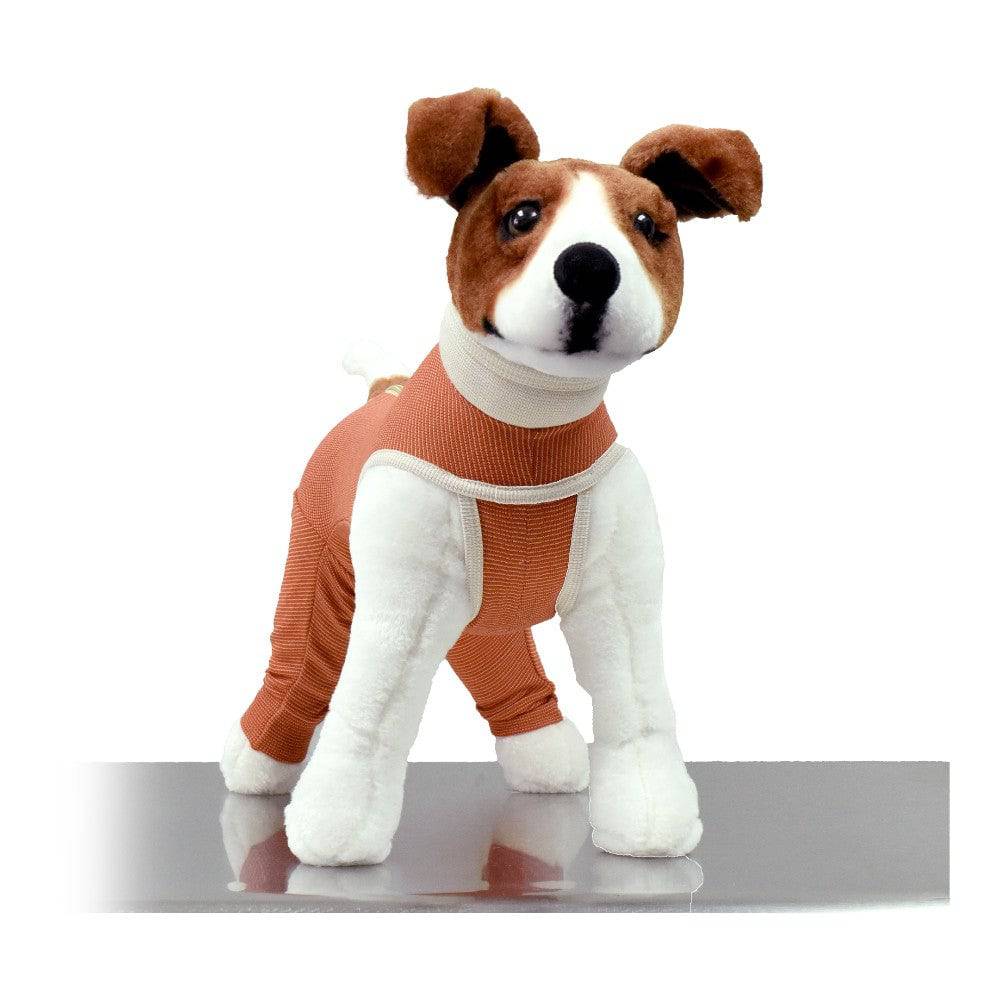 Body para perros